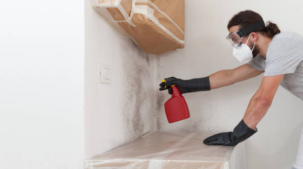 Professional Mold Remediation technician working in Georgetown, MA