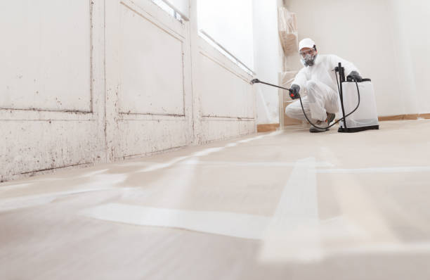24/7 Emergency Mold Remediation experts in Georgetown, MA