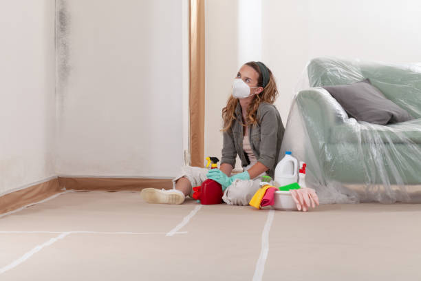 Reliable Mold Remediation contractor in Georgetown, MA by 24 Hour Mold Removal